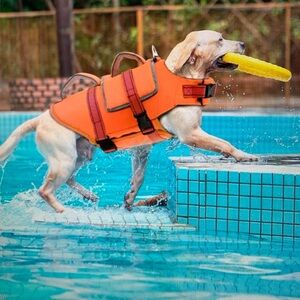 Orange Dog Life Jacket